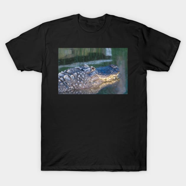 Alligator Headshot T-Shirt by Debra Martz